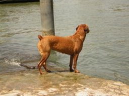 boxweiler_3_20211129_1193258216
